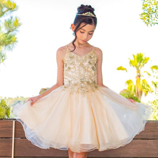 Cinderalla Sparkly tulle A-line Party Dress