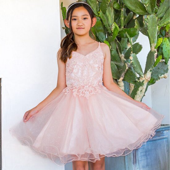 Cinderalla Sparkly tulle A-line Party Dress Blush1