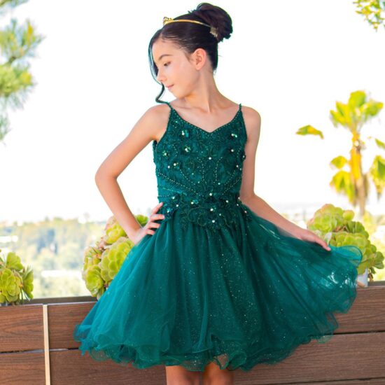 Cinderalla Sparkly tulle A-line Party Dress Hunter Green