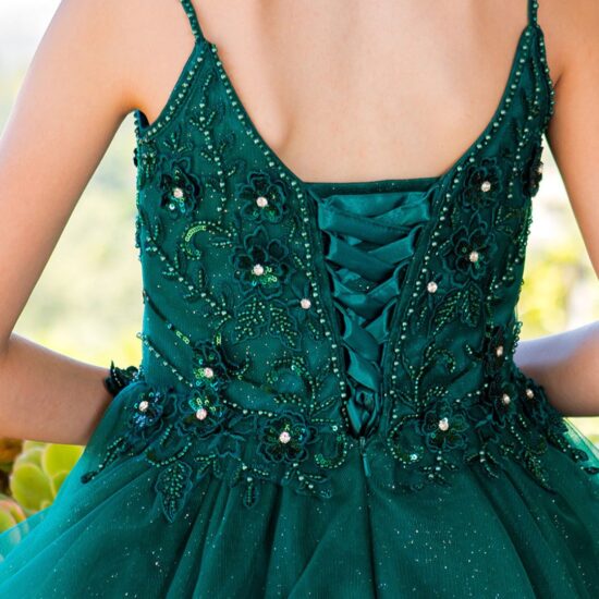 Cinderalla Sparkly tulle A-line Party Dress Hunter Green2