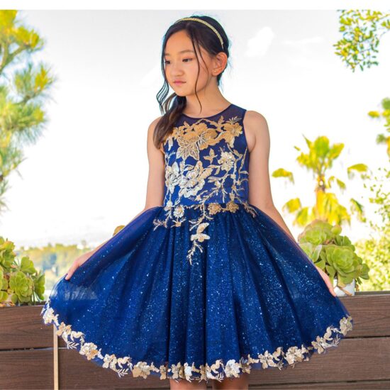 Cinderella Couture Spaghetti Tulle Dress