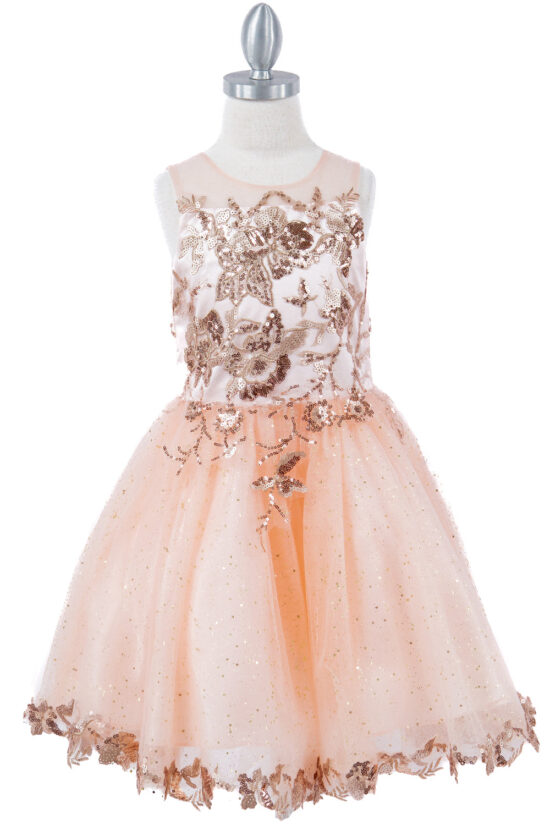 Cinderella Spaghetti Tulle party Dress