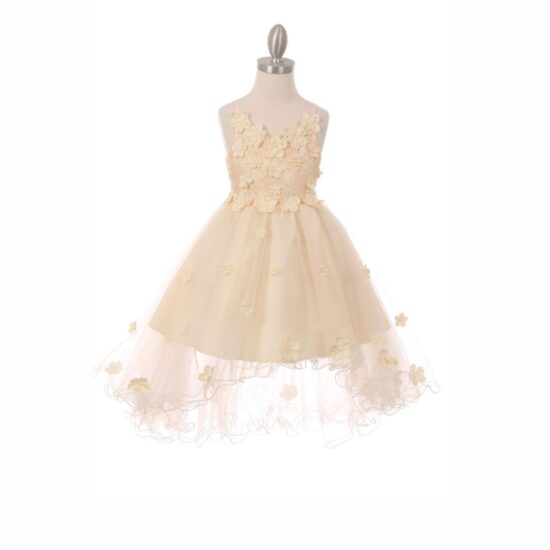 Cinderella Elegant Party Dress