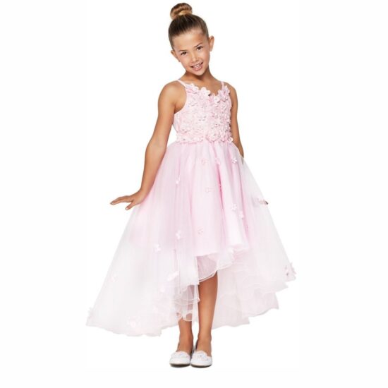 Cinderella Elegant Party Dress