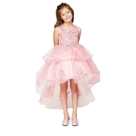 Cinderella Elegant Short Party Drees