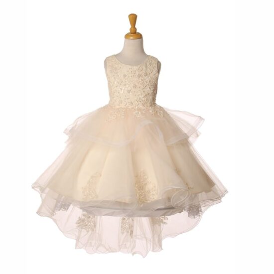 Cinderella Elegant Short Party Drees Champagne