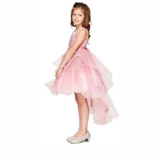 Cinderella Elegant Short Party Drees