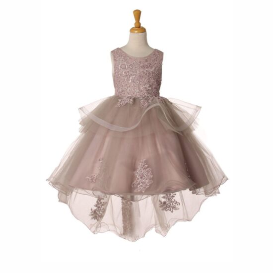 Cinderella Elegant Short Party Drees