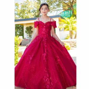 Cinderella Quinceanera party dress