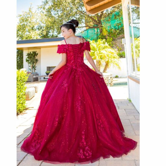 Cinderella Quinceanera party dress