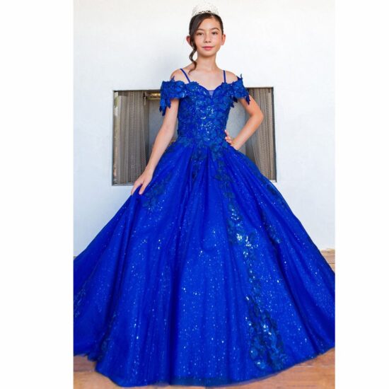 Cinderella Quinceanera party dress