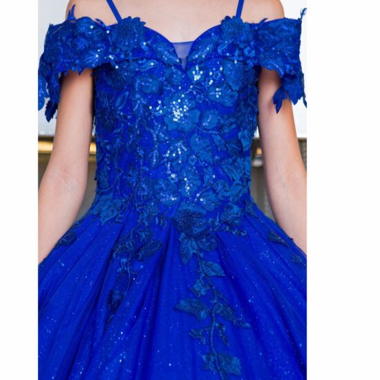 Cinderella Quinceanera party dress