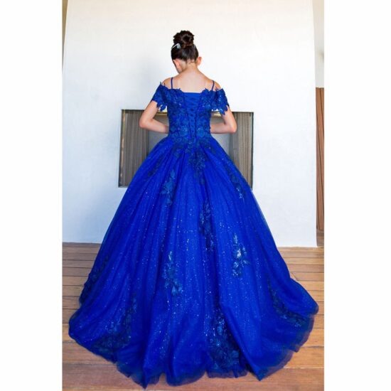 Cinderella Quinceanera party dress