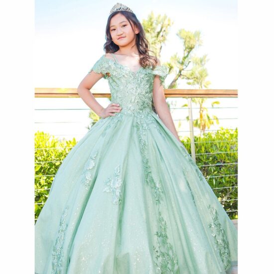 Cinderella Quinceanera party dress