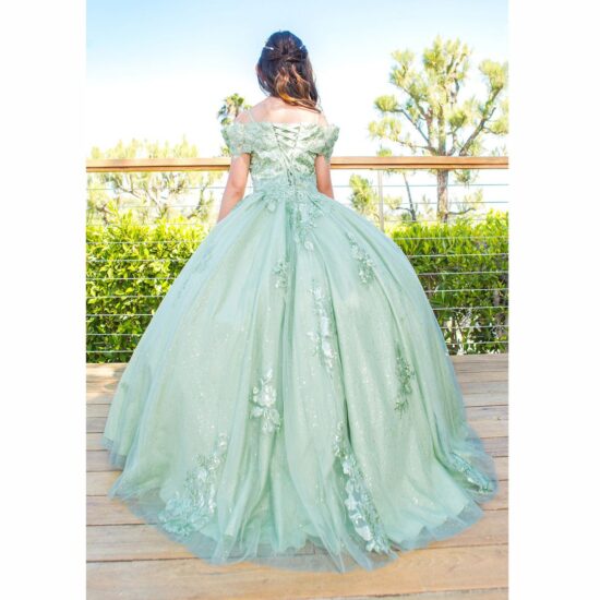 Cinderella Quinceanera party dress