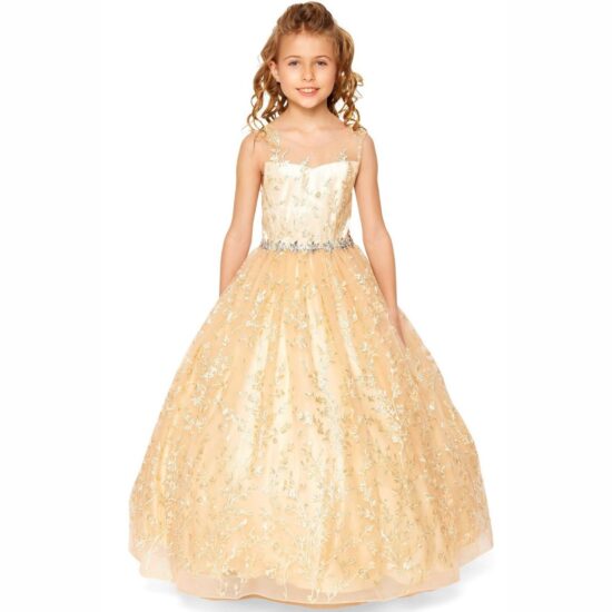 Cinderella Royal Party Dress