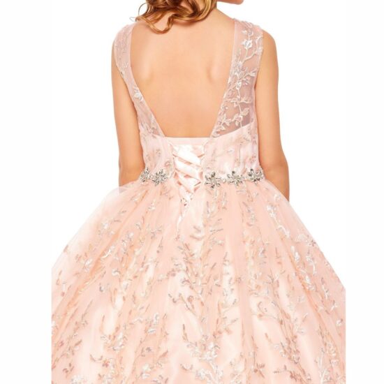 Cinderella Royal Party Dress