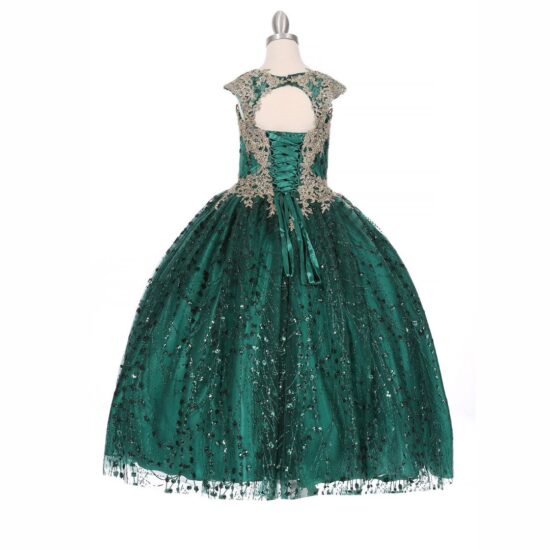 Cinderella Sparkly Elegant Party Dress