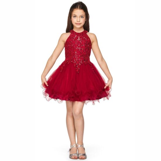 Cinderella Sparkly Elegant Party Dress