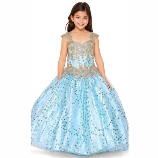 Cinderella Sparkly Elegant Party Dress