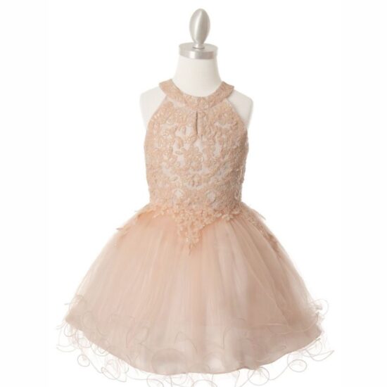 Cinderella Sparkly Elegant Party Dress