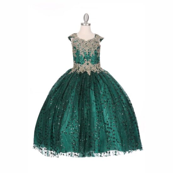 Cinderella Sparkly Elegant Party Dress