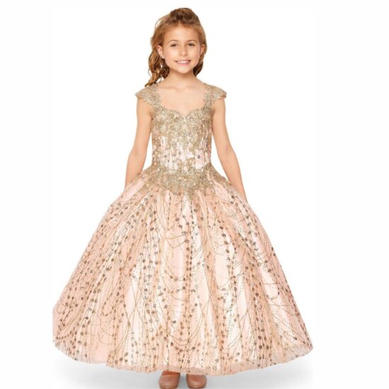 Cinderella Sparkly Elegant Party Dress