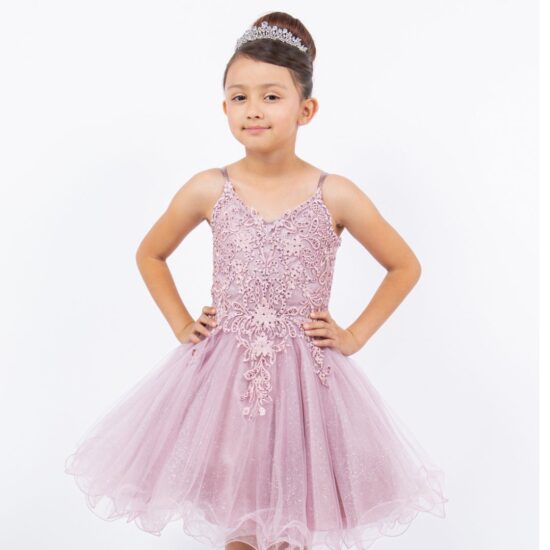 Spaghetti Tulle Mauve Party Dress