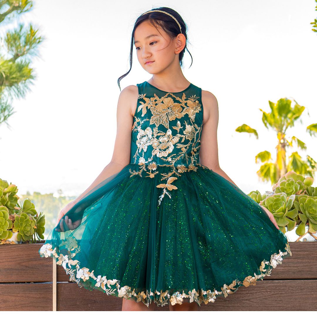 Cinderella Elegant Tulle Party Dress