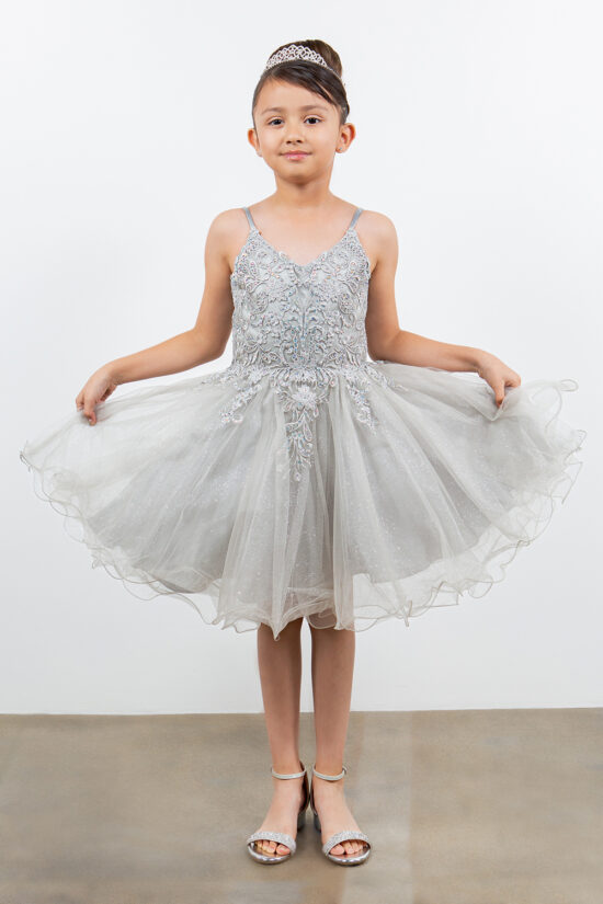 Spaghetti Tulle Silver Party Dress