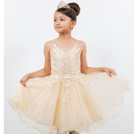 Spaghetti Tulle champ party Dress