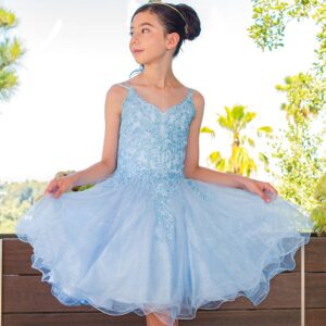 Spaghetti Tulle party Dress